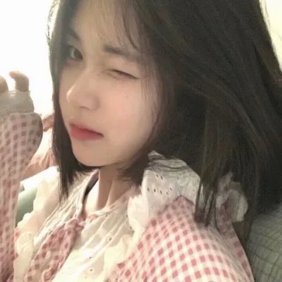 森林进化论第三季